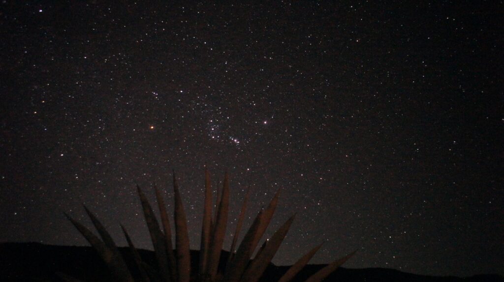 Starry Night (Betelgeuse & Orion)